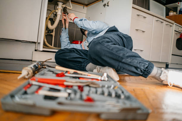 Best Plumbing Inspection Services  in Carnegie, PA